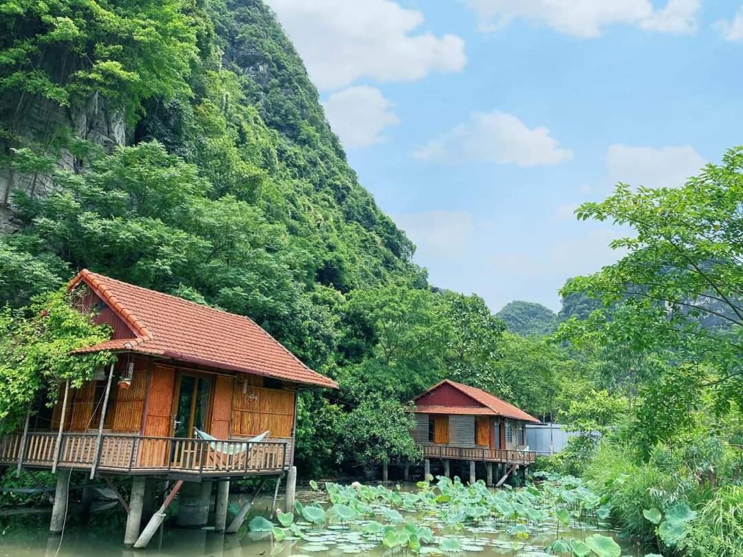 Lotus Field Homestay Ninh Binh Exteriér fotografie