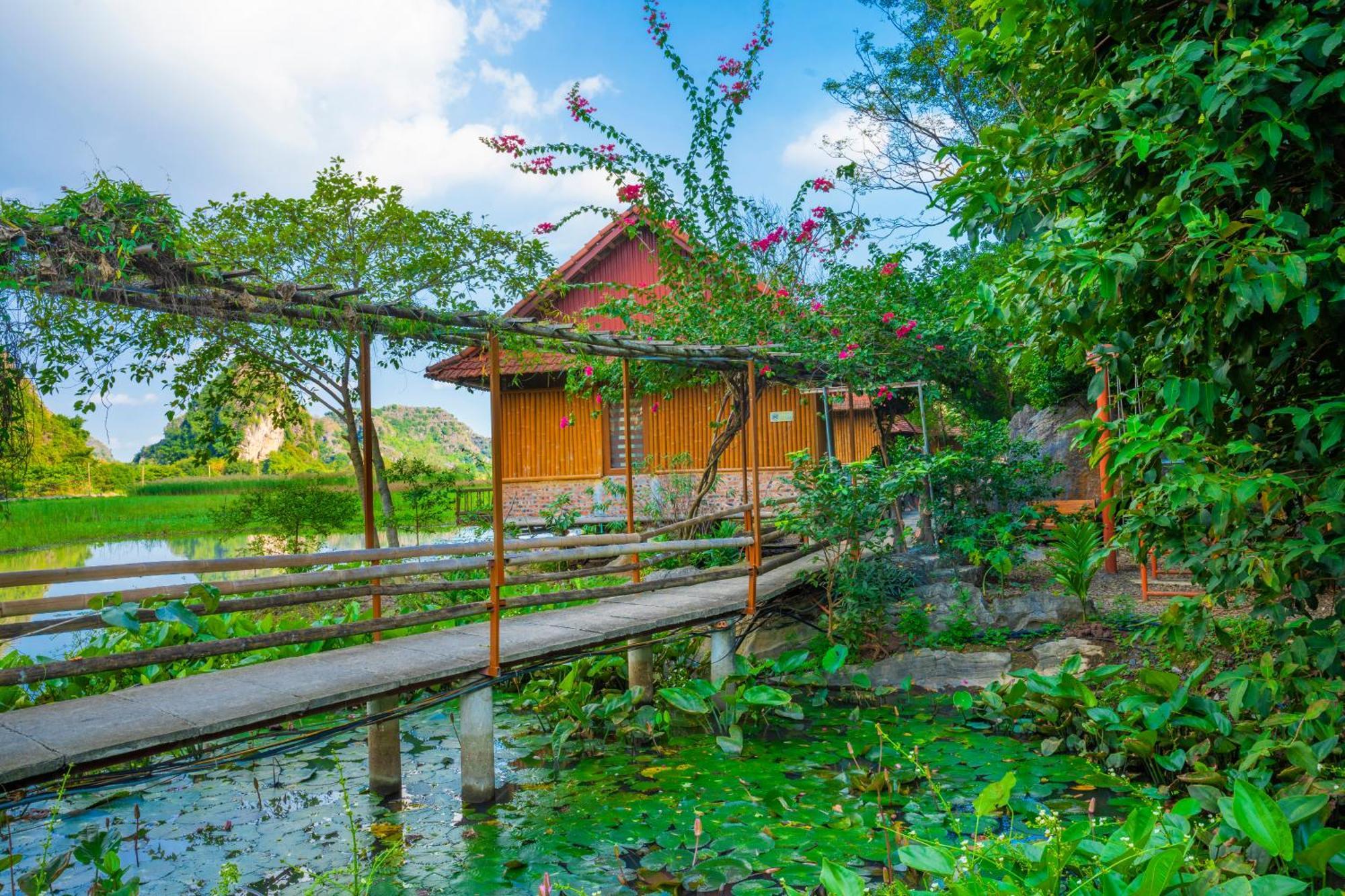 Lotus Field Homestay Ninh Binh Exteriér fotografie