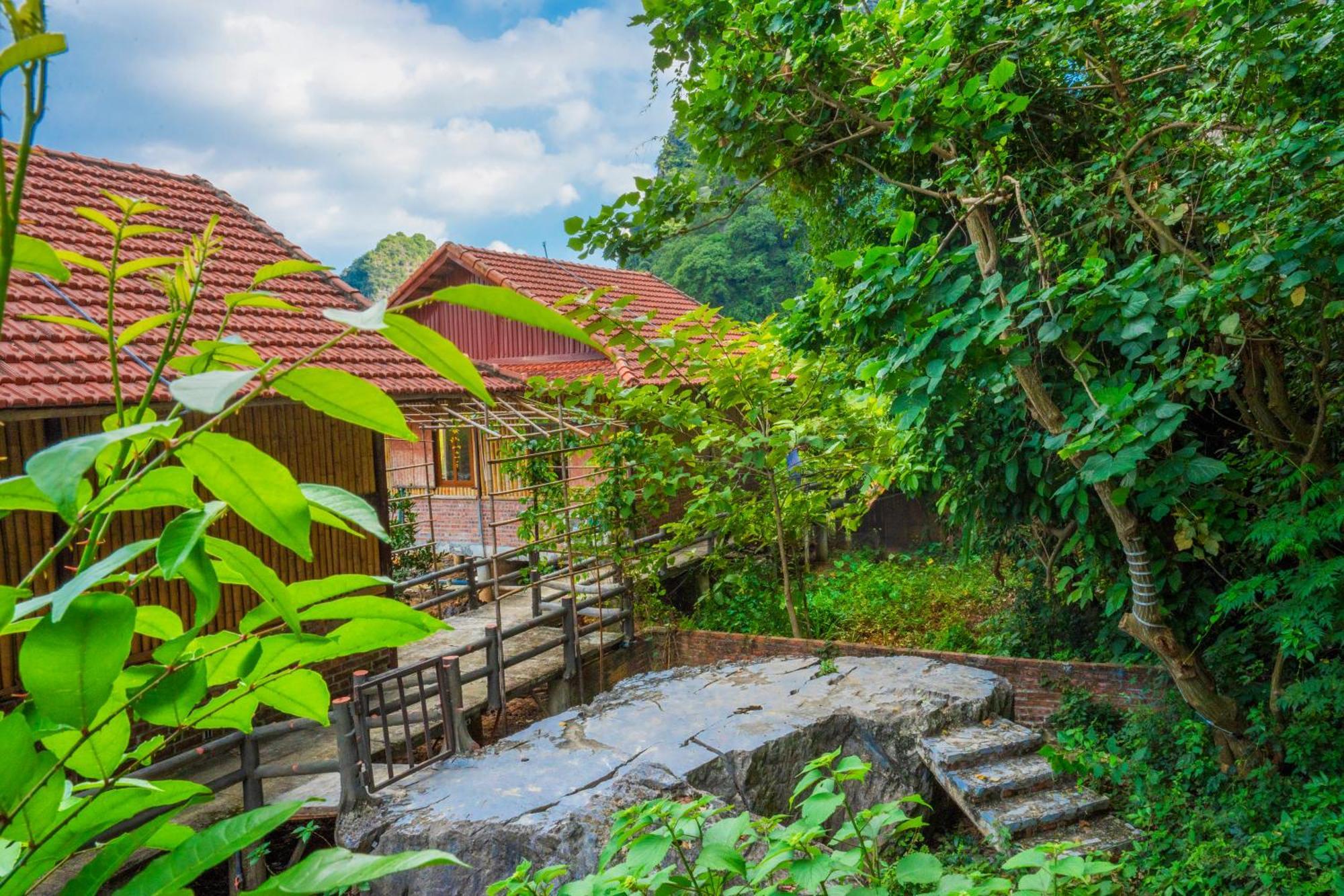 Lotus Field Homestay Ninh Binh Exteriér fotografie