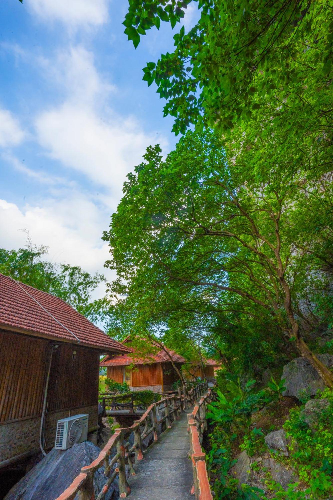 Lotus Field Homestay Ninh Binh Exteriér fotografie