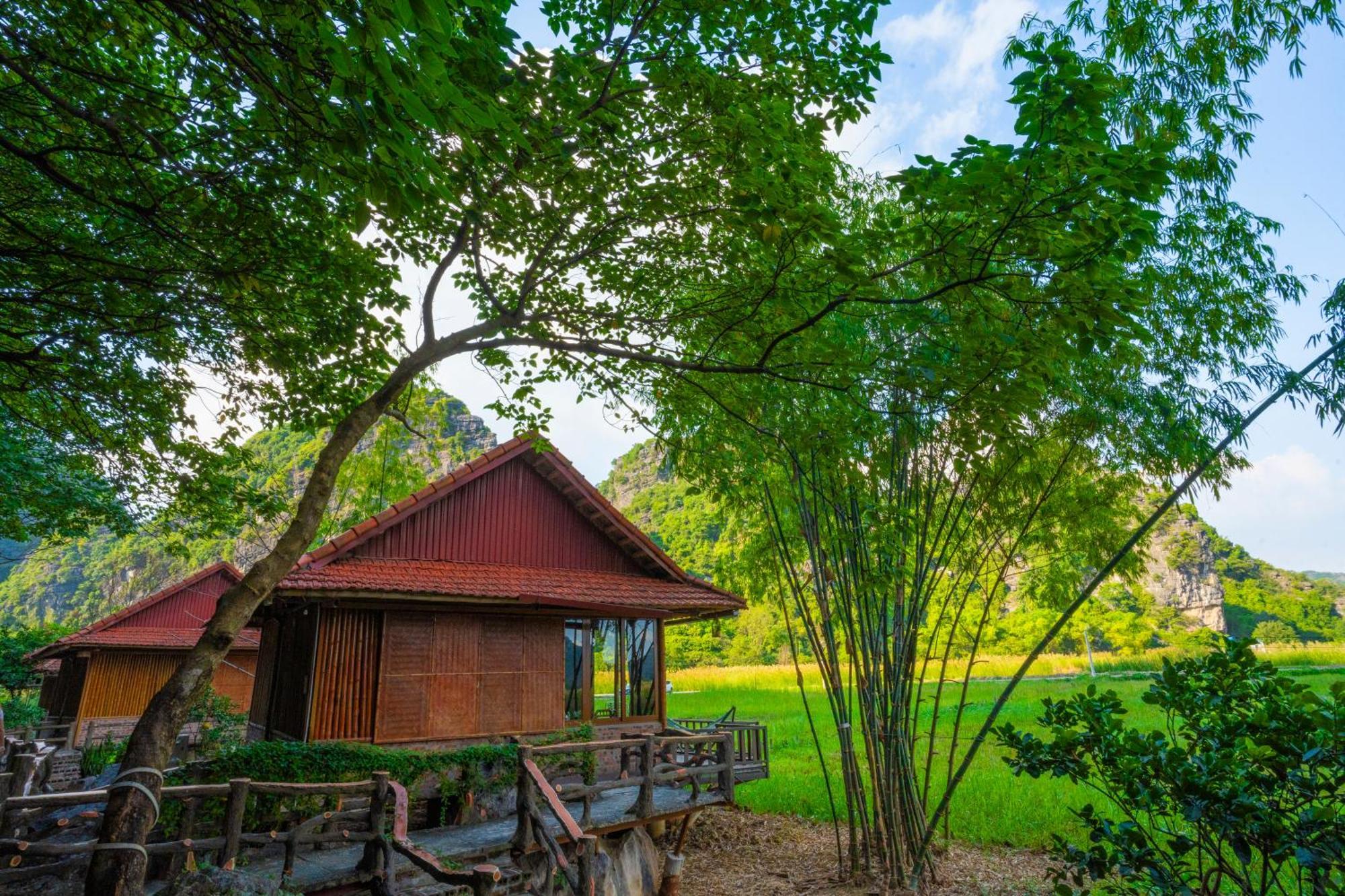 Lotus Field Homestay Ninh Binh Exteriér fotografie