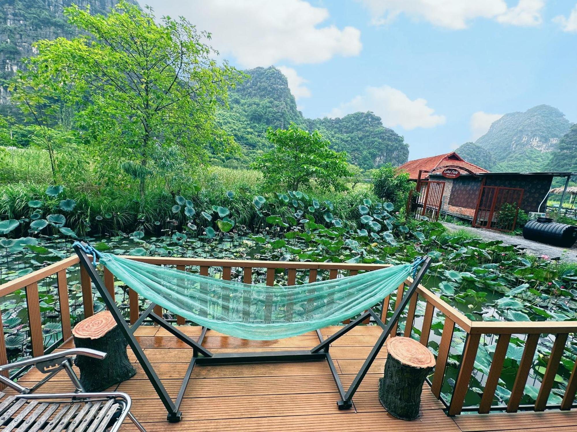 Lotus Field Homestay Ninh Binh Exteriér fotografie